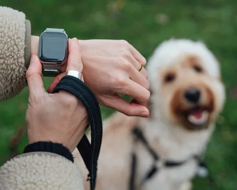 The Honest Scoop About Smartwatches? Daily Existence Improves Without a Hectoring Device on Your Wristwear